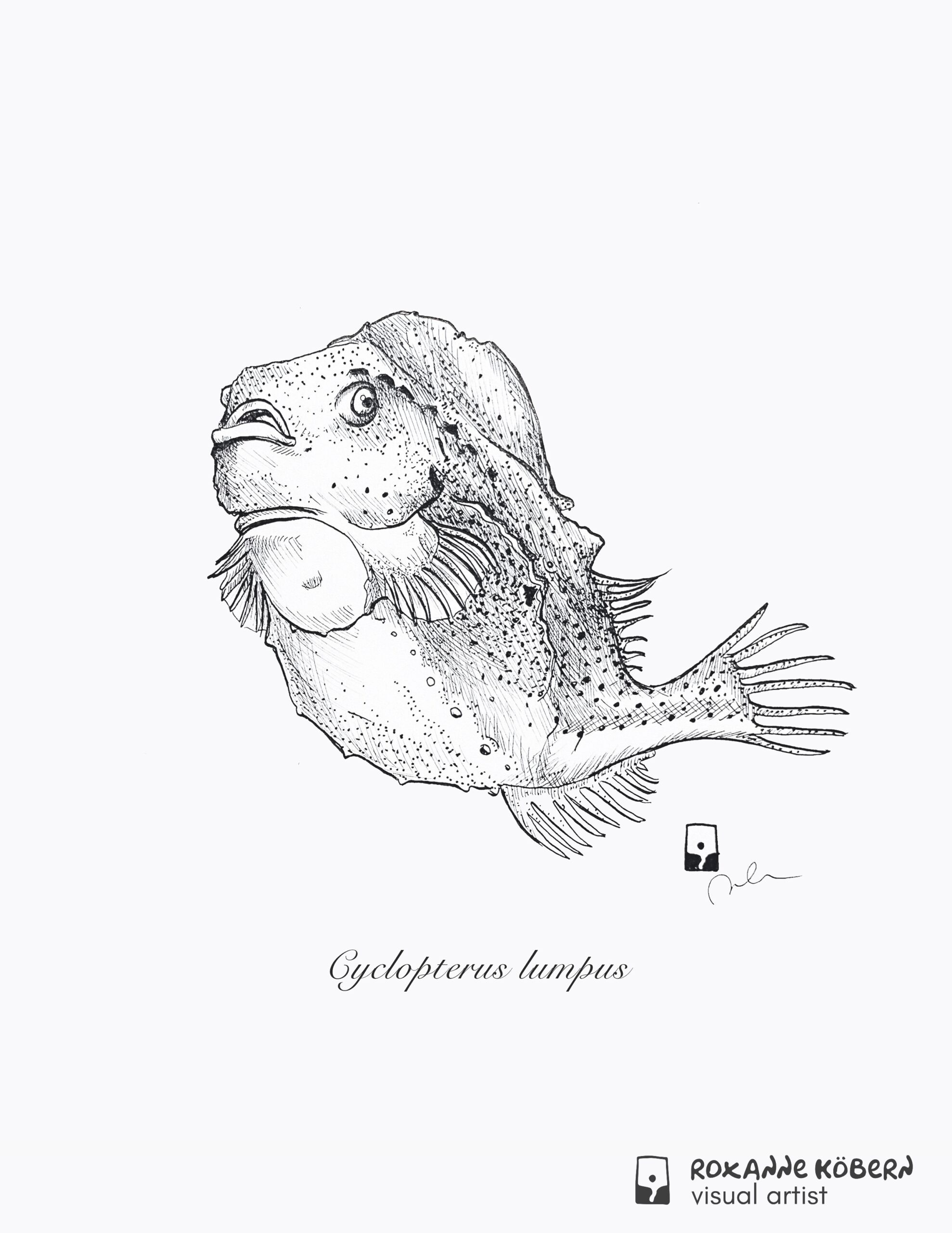 Pen and Ink illustration of Lumpus fish with it's scientific label below