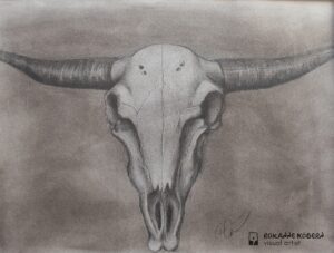 Cow Skull by Roxanne Köbern