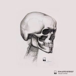 Anatomical drawing of skull on beige background.